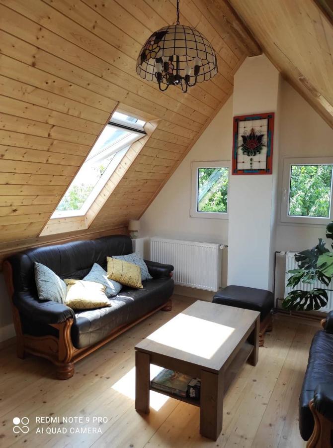 Art-House 4 Attic Apartment Decin Esterno foto