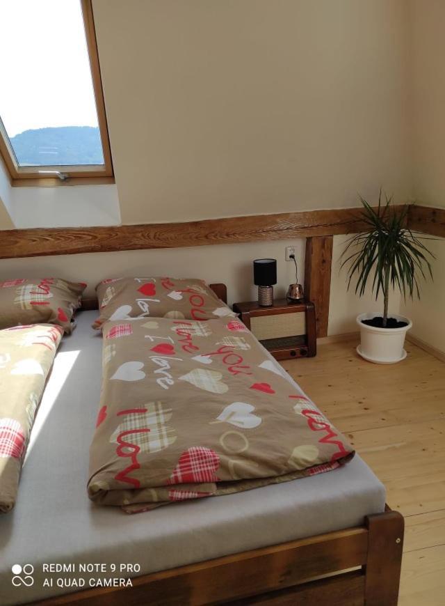 Art-House 4 Attic Apartment Decin Esterno foto