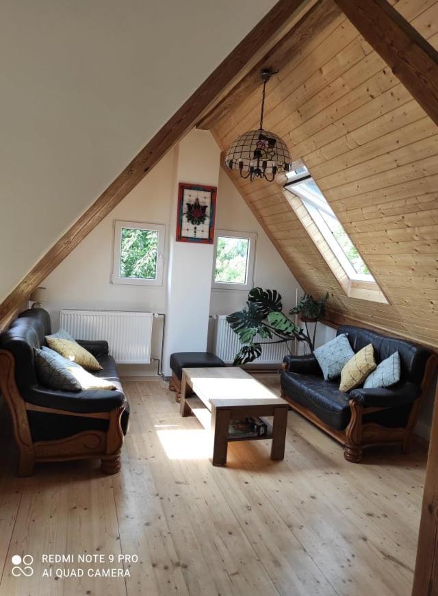 Art-House 4 Attic Apartment Decin Esterno foto